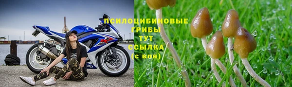 гашик Абинск