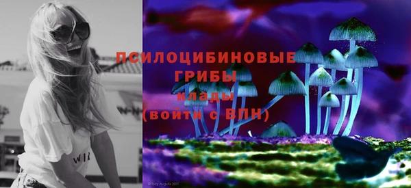 гашик Абинск