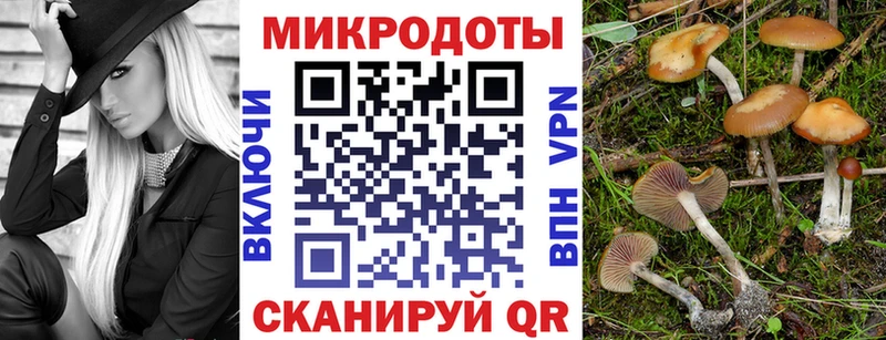 Галлюциногенные грибы GOLDEN TEACHER купить Александров