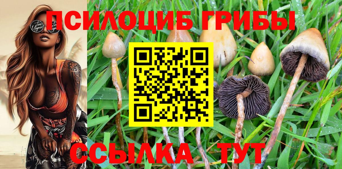 Галлюциногенные грибы Cubensis  Псилоцибиновые грибы мухоморы  Вход с VPN  Александров 